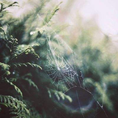 Bsports必一网页版登录